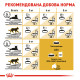 Royal Canin Siamese Adult Сухий корм для дорослих кішок