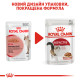 Royal Canin Instinctive in Jelly Консервы для взрослых кошек 