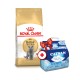 Royal Canin British Shorthair Adult Сухой корм для взрослых кошек