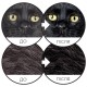 Nature's Protection Superior Care Dark Cats Grain Free with Herring Adult all Breeds Сухий беззерновий корм для дорослих кішок з темним забарвленням вовни
