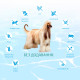 Optimeal Dog Beauty Podium Shiny Coat & Dental Care Сухой корм для взрослых собак для блеска шерсти и уход за зубами
