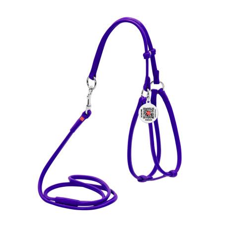 Collar Waudog Glamour Шлея с поводком для кошек и собак кожаная круглая фиолетовая